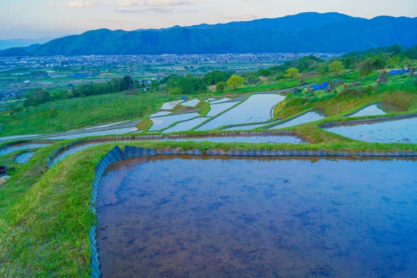 Uba Opuštěné Rýžové Pole Umístění Střelby Prefektura Nagano — Stock fotografie