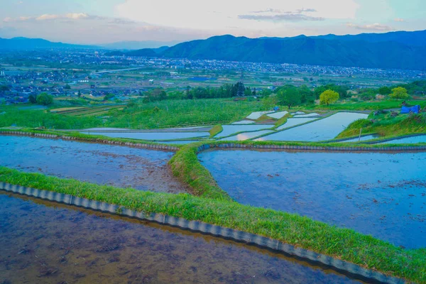Uba Opuštěné Rýžové Pole Umístění Střelby Prefektura Nagano — Stock fotografie