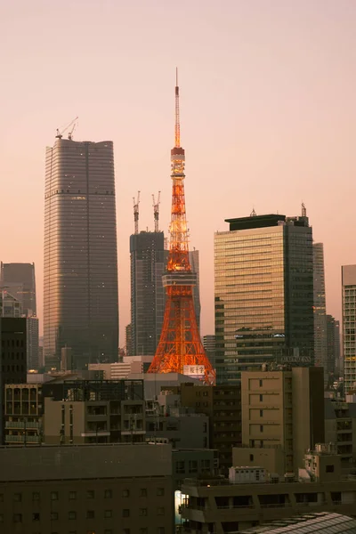 Minato Ward Byggnader Och Tokyo Tower Fotografering Plats Minato Tokyo — Stockfoto