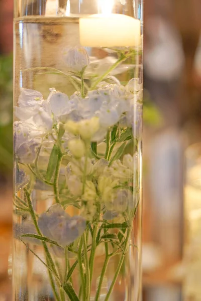 Blumen Wasser Drehort Nishi Yokohama — Stockfoto