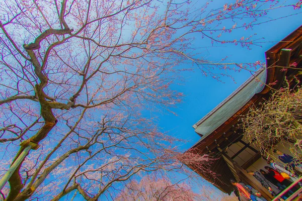 Tenryuji Tapınağı Kyoto Bölgesi Çekim Konumu Kyoto — Stok fotoğraf