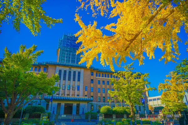 Herfst Bladeren Yokohama Nihon Odori Schietplaats Yokohama Stad Kanagawa Prefectuur — Stockfoto