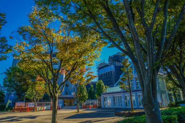 Das Stadtbild Süden Des Zentrums Drehort Tsuzuki Ward Yokohama — Stockfoto
