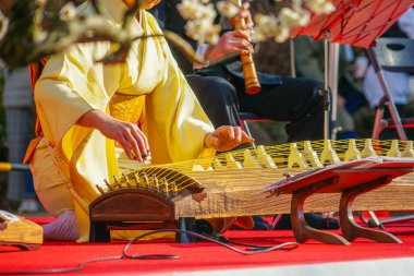 Kotos konseri (Japon kültürü). Çekim yeri: Kohoku -ku, Yokohama