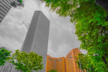 Shinjuku gökdelenleri (monokrom). Çekim yeri: Shinjuku-ku, Tokyo