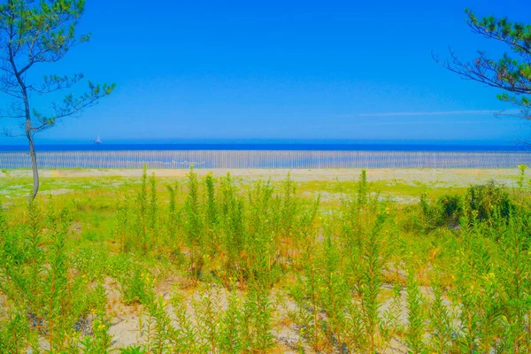 Blauwe Lucht Zandbestendig Hek Schietplaats Prefectuur Niigata — Stockfoto