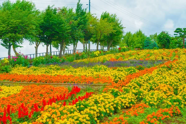 Цветочное Поле Биэй Хоккайдо Место Съемки Биэй Хоккайдо — стоковое фото