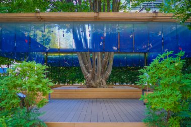 Güzel mavi iyi niyet. Çekim yeri: Chuo -ku, Tokyo