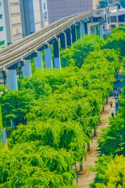 Tachikawa Sunsan Yolu. Çekim yeri: Tachikawa Şehri, Tokyo