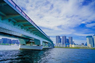 Tokyo binalarının görüntüsü. Çekim Konumu: Koto -ku, Tokyo