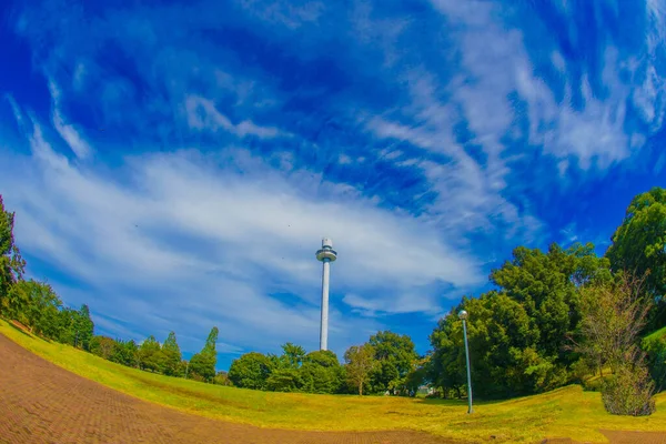 Věž Seibuen Yuenchi Místo Střelby Tokorozawa City Prefektura Saitama — Stock fotografie
