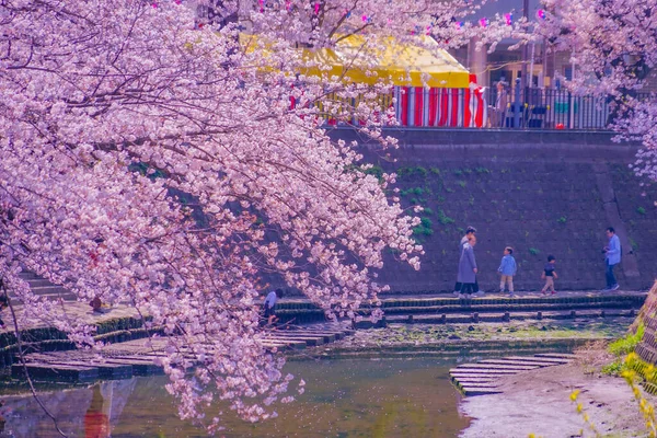 Ooka Nehri Gezinti Güvertesi Sakura Çekim Yeri Minami Yokohama — Stok fotoğraf