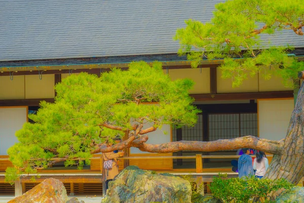 Храм Тенрюджі Префектура Кіото Місце Зйомки Кіото — стокове фото