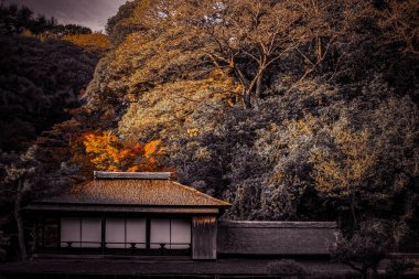 Eski özel evin resmi. Çekim yeri: Naka -ku, Yokohama -shi