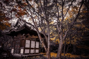 Eski özel evin resmi. Çekim yeri: Naka -ku, Yokohama -shi