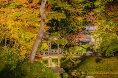 Japon bahçesinde sonbahar gecesi. Çekim yeri: Naka -ku, Yokohama -shi