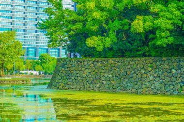 Edo Kalesi Ishigaki. Çekim Konumu: Chiyoda Koğuşu, Tokyo