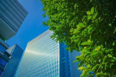 Nihonbashi (Chuo -ku, Tokyo). Çekim yeri: Chuo -ku, Tokyo