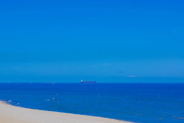 해변과 아키타 — 스톡 사진