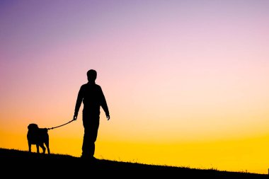 Alacakaranlık ve köpek yürüyüşü. Çekim yeri: Mitaka Şehri, Tokyo