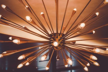 Avizelerin ihtişamı. Çekim yeri: Nishi -ku, Yokohama