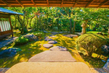 Japon bahçesinin güzelliği. Çekim yeri: Shibuya -ku, Tokyo