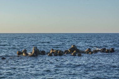 Plaj dalgalanması (Tetrapod). Çekim Konumu: Akita