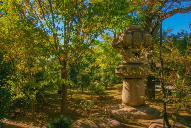 Japon taş fenerleri ve doğa. Çekim yeri: Shinjuku-ku, Tokyo