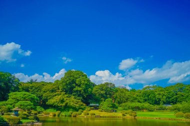 Geleneksel Japon bahçesi. Çekim yeri: Shinjuku-ku, Tokyo