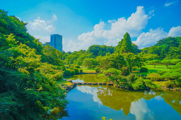 Green city park. Shooting Location: Shinjuku-ku, Tokyo