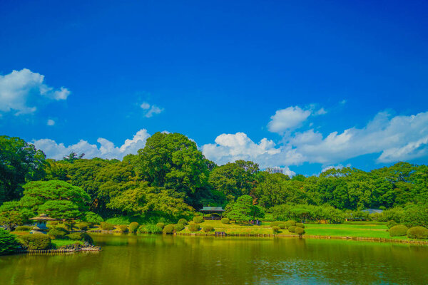 Traditional Japanese garden. Shooting Location: Shinjuku-ku, Tokyo
