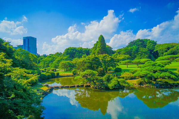 Traditional Japanese garden. Shooting Location: Shinjuku-ku, Tokyo