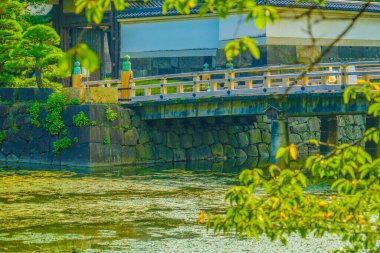Köprü ve geleneksel Japon binaları. Çekim Konumu: Chiyoda Koğuşu, Tokyo