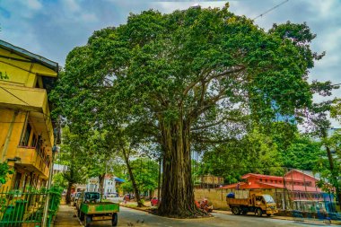 Dev ağaçlar ve kasabaların bir arada yaşaması. Çekim yeri: Bangkok, Tayland