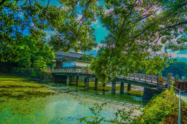 Japon bahçesinde güzel bir köprü. Çekim Konumu: Chiyoda Koğuşu, Tokyo