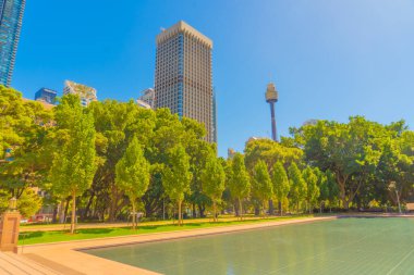 Park ve gökdelenler. Çekim yeri: Avustralya, Sydney