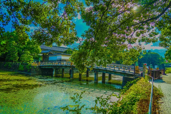 Japon nehri üzerinde eski bir köprü. Çekim Konumu: Chiyoda Koğuşu, Tokyo