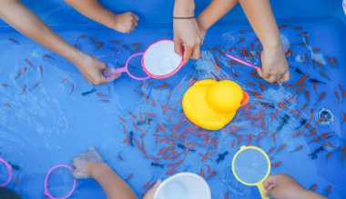 Japon balığı kepçelemek için eğlenceli. Çekim yeri: Kanagawa -ku, Yokohama