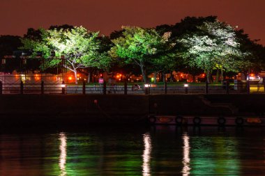 Geceleri parkı aydınlatan renkli ağaçlar. Çekim yeri: Naka -ku, Yokohama -shi