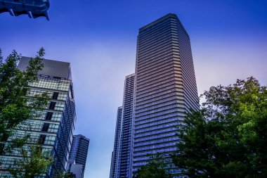 Silüet bina görüntüsü. Çekim Konumu: Koto -ku, Tokyo