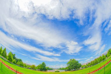 Blue Sky ve Green Park. Çekim yeri: Washington DC