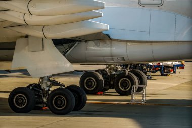 Uçağın arkası ve yerleşim aracı. Çekim Konumu: Fukuoka Bölgesi