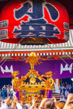 Asakusas festival koşuşturması (Sanjamatsuri). 