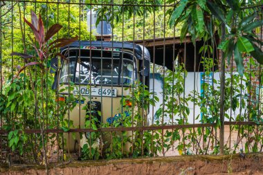 Eski otobüs ve yeşil. Çekim Konumu: Sri Lanka, Colombo