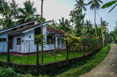 Tropikal ev ve çitler. Çekim Konumu: Sri Lanka, Colombo