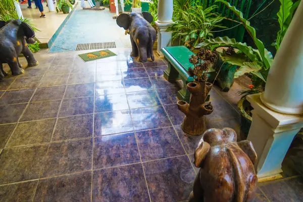 stock image Lobby with elephant decoration. Shooting Location: Sri Lanka, Colombo