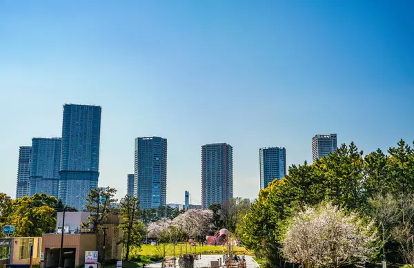 Spring City Parkı. Çekim Konumu: Koto Ward, Tokyo