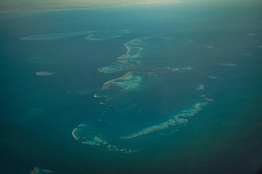 Deniz Mücevheri (Büyük Set Resifi). Çekim yeri: Sydney, Avustralya
