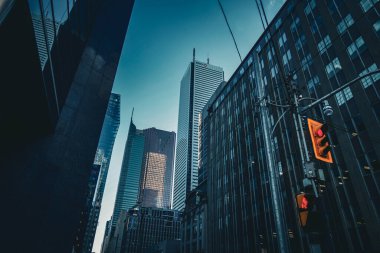 Sabah şehir manzarası. Çekim Konumu: Toronto