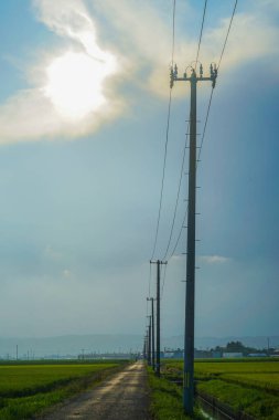 Parlak kırsal yol. Çekim yeri: Sendai, Miyagi Bölgesi